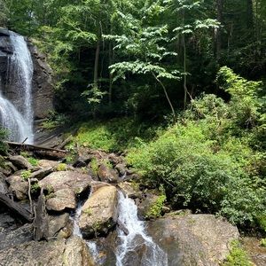 Meet your Posher, Spencer